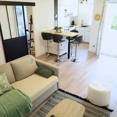 Charming With Private Garden Daire Colomiers