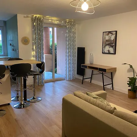 Charming With Private Garden Daire Colomiers